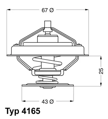 Termostat, płyn chłodzący BORGWARNER BERU 4165.79D Wysoka jakość