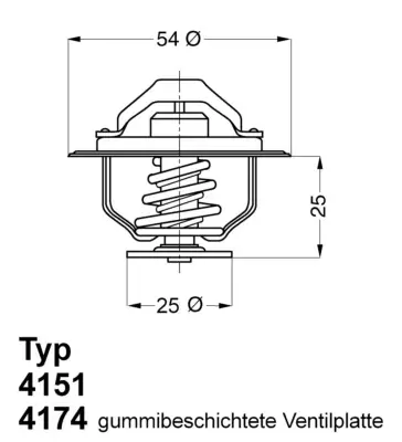 Termostat, płyn chłodzący BORGWARNER BERU 4174.88D Bezpieczne zakupy