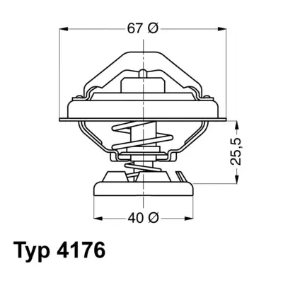 Termostat, płyn chłodzący BORGWARNER BERU 4176.70D Kup online