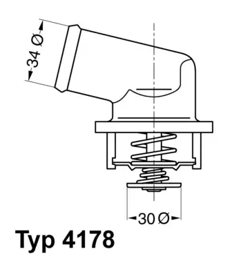 Nie przegap Termostat, płyn chłodzący BORGWARNER (WAHLER) 4178.92D