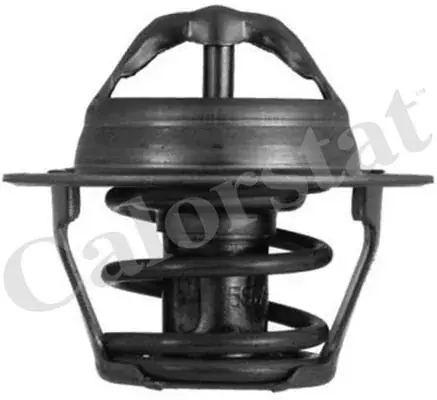 Wyjątkowa oferta Termostat, płyn chłodzący CALORSTAT BY VERNET TH4898.87J