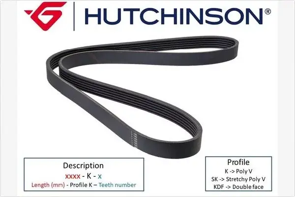 Oferta limitowana Pasek klinowy wielorowkowy HUTCHINSON 966 K 6