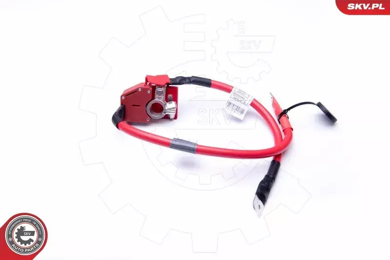 Adapter do akumulatora ESEN SKV 96SKV303 Ostatnia szansa