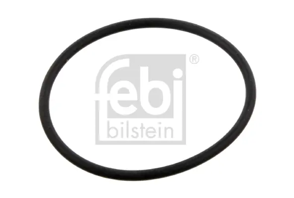 FEB 30953 FEBI BILSTEIN ORING TRUCK Dodaj do koszyka