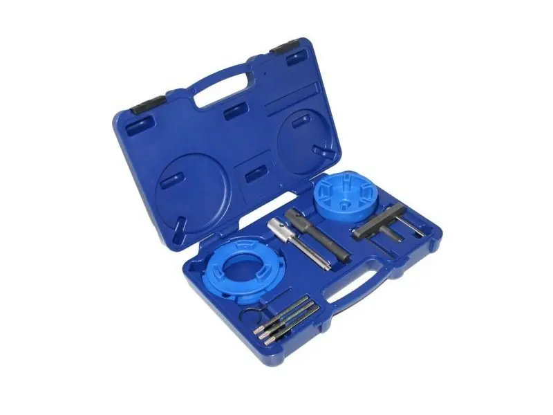 BLOKADA ROZRZĄDU TECHMAN A 8019UPG  FORD 2.0/2.4 TDDI/TDCI Oferta czasowa